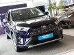 Megszűnt! Avisa stříbrný ochrana prahu TOYOTA RAV IV V generation 2018->Black EXCLUSIVE emblem 4 pcs (23014)