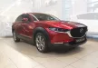 Avisa stříbrná saténová ocel Ochrana nakládací Mazda CX-30 2019
