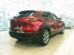 Avisa stříbrná saténová ocel Ochrana nakládací Mazda CX-30 2019