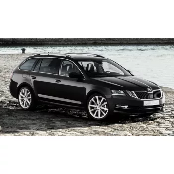   Avisa stříbrný satén ocel Ochrana nakládací SKODA Octavia III combi FL2016-2019