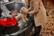 Prémiový guma Gumová vana do kufru RENAULT Scenic IV minivan 2016- horní podlaha kufru (DZ403345)