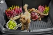 Frogum přesně padnoucí Gumová vana do kufru Byd Seal 2023-