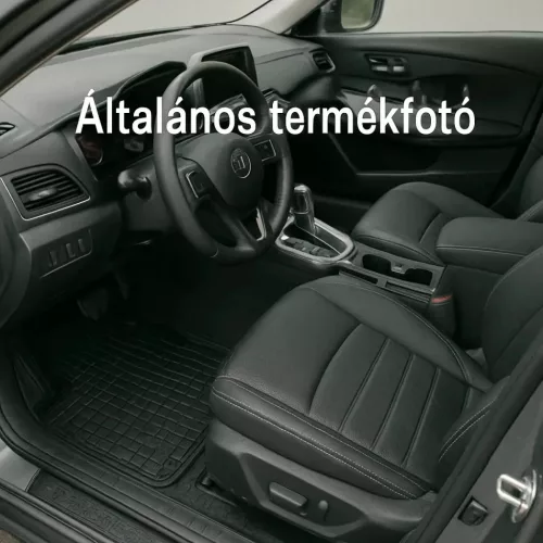 Frogum přesně padnoucí Gumové autokoberce Leapmotor C10 2024-